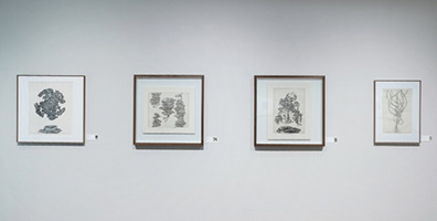 线之诗：埃文·林德奎斯特当代铜版画