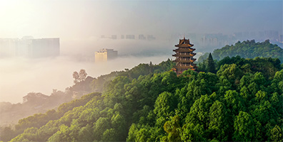 重龙山旅游景区－VR全景漫游